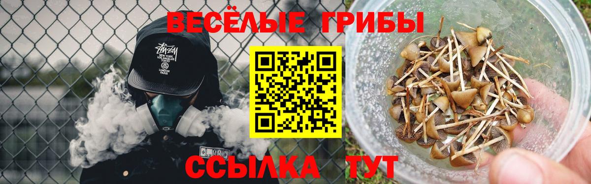 Братск  Псилоцибиновые грибы GOLDEN TEACHER  Вход с VPN 