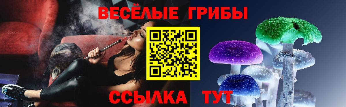 Галлюциногенные грибы GOLDEN TEACHER Братск